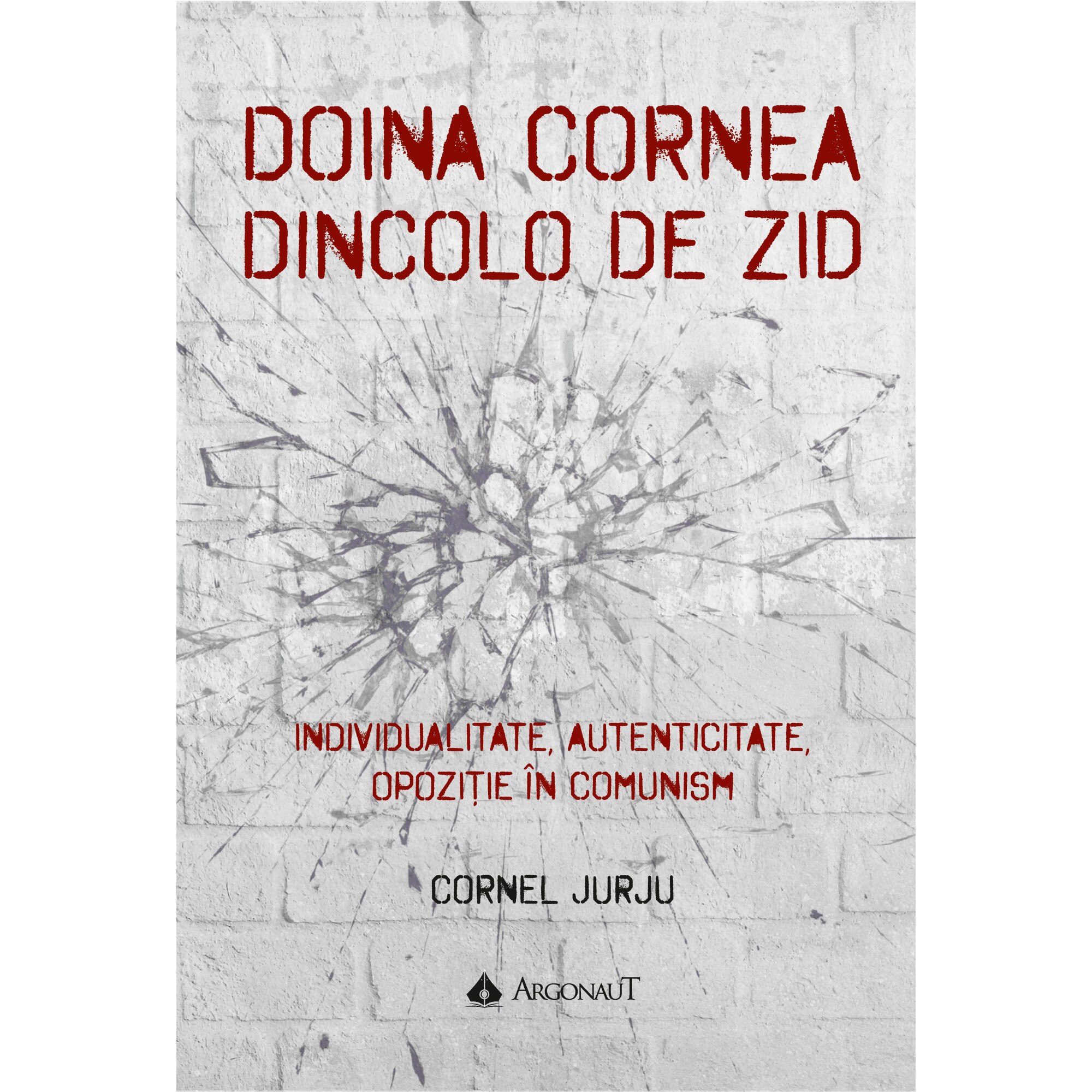 Doina Cornea, Dincolo de zid